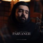 3261دانلود آهنگ پیمان زمانی گنگ گنگ
