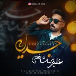 4041دانلود آهنگ سعید داوودی حرفات قشنگه