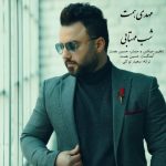 4780دانلود آهنگ رضا یارا پلنگ و پری