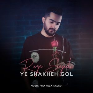 دانلود آهنگ رضا ساجدی یه شاخه گل