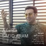 4712دانلود آهنگ سالیار چی قشنگتر از اینکه