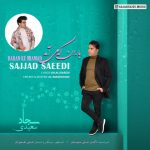 4274دانلود آهنگ رضا آذریان حالیت نیست