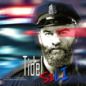 دانلود آهنگ تیدل سیلی