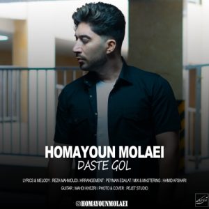 دانلود آهنگ همایون مولایی دست گل
