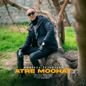 دانلود آهنگ مرتضی تجن جاری عطر موهات
