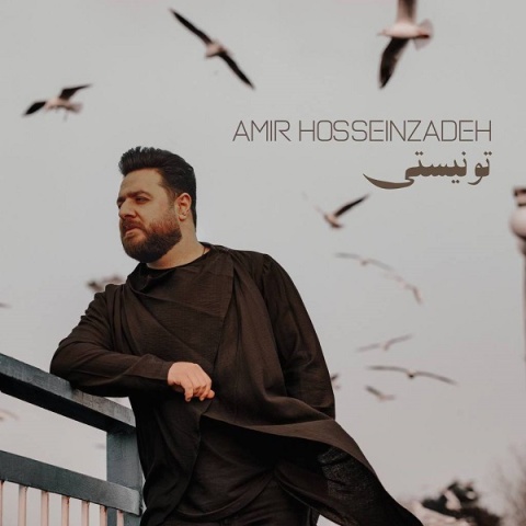 دانلود آهنگ امیر حسین زاده تو نیستی