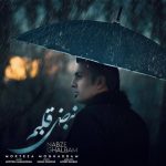 6381دانلود آهنگ امیر شکاری خاتون