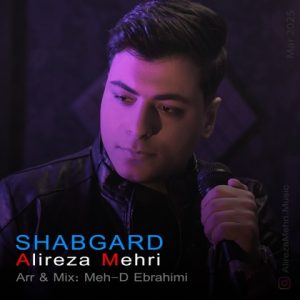 دانلود آهنگ علیرضا مهری شبگرد