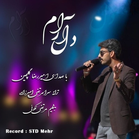 دانلود آهنگ امیررضا گلچین دل آرام