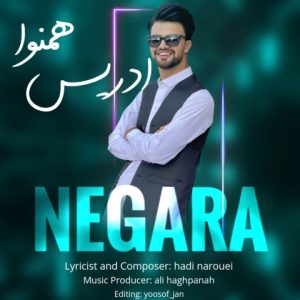 دانلود آهنگ ادریس همنوا نگارا