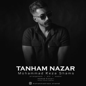 دانلود آهنگ محمدرضا شمس تنهام نزار