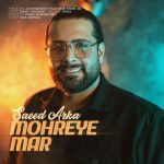 7928دانلود آهنگ حامد خوشنام قاب عکس