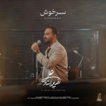 8446دانلود آهنگ طاها داداشی گل بودی