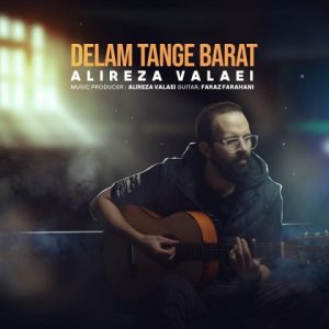 دانلود آهنگ علیرضا ولایی دلم تنگه برات