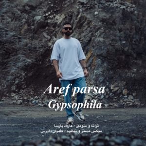 دانلود آهنگ عارف پارسا ژیپسوفیلا