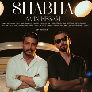 دانلود آهنگ امین حسام شبها