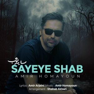 دانلود آهنگ امير همايون سايه شب