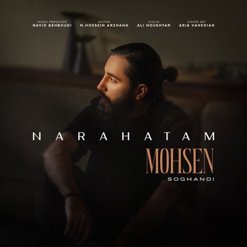 دانلود آهنگ محسن سوقندی ناراحتم