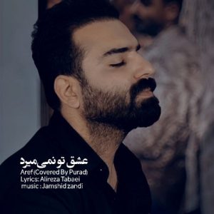 دانلود آهنگ پوراد عشق تو نمیمیرد