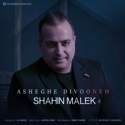 دانلود آهنگ شاهین ملک عاشق دیوونه