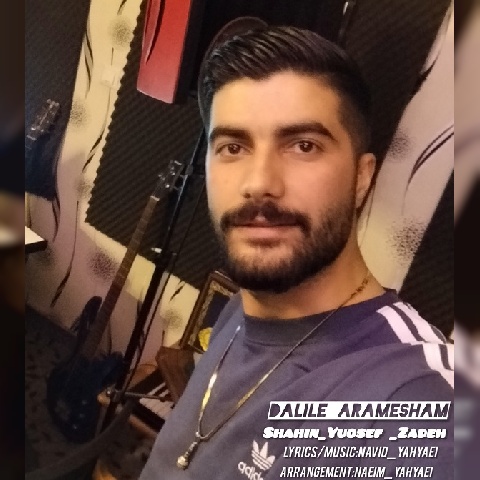 دانلود آهنگ شاهین یوسف زاده دلیل آرامشم