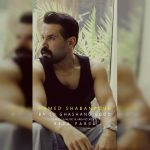 9915دانلود آهنگ حمیدرضا گودرزی پاد زهر