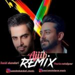 دانلود آهنگ پوریا مهدی پور و سعید اسکندری عجیب