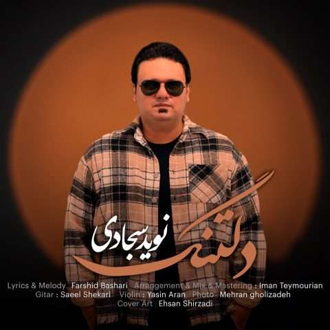 دانلود آهنگ نوید سجادی دلتنگ