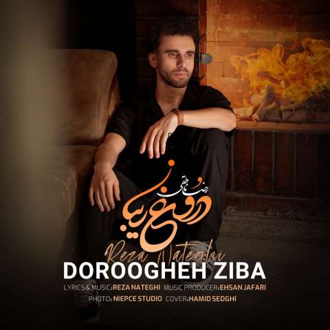 دانلود آهنگ رضا ناطقی دروغ زیبا