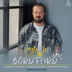 دانلود آهنگ بُردفرد دل دادم