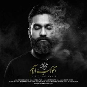 دانلود آهنگ علی زندوکیلی بخواب آروم
